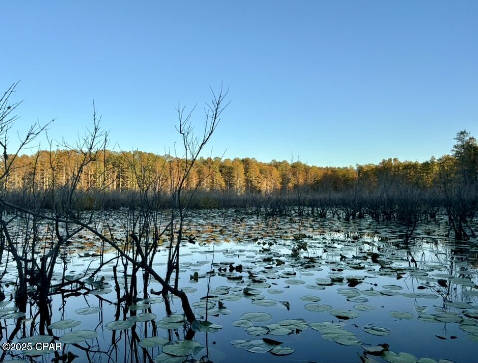 2730 Mosquito Road Chipley, FL 32428 - Photo 80 of 80