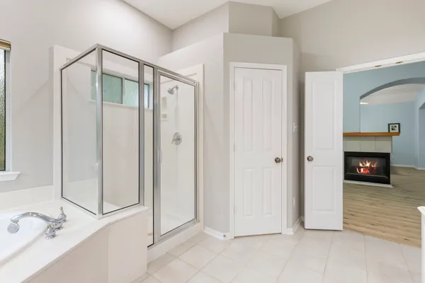 a view of a yard with plants and trees