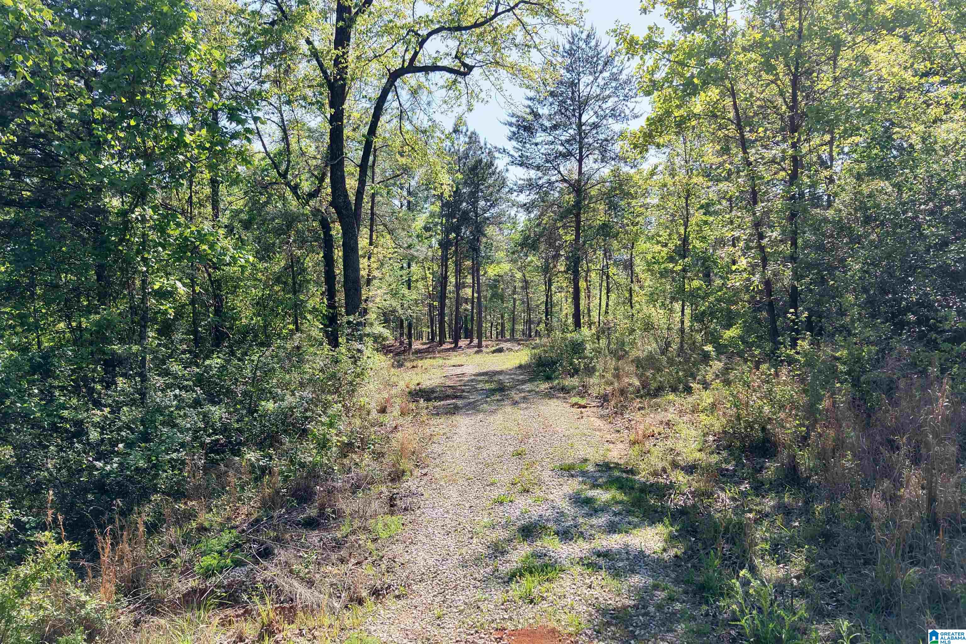 246 Spring Water Farms, Unit 2 Helena, AL 35022 - Photo 5 of 25