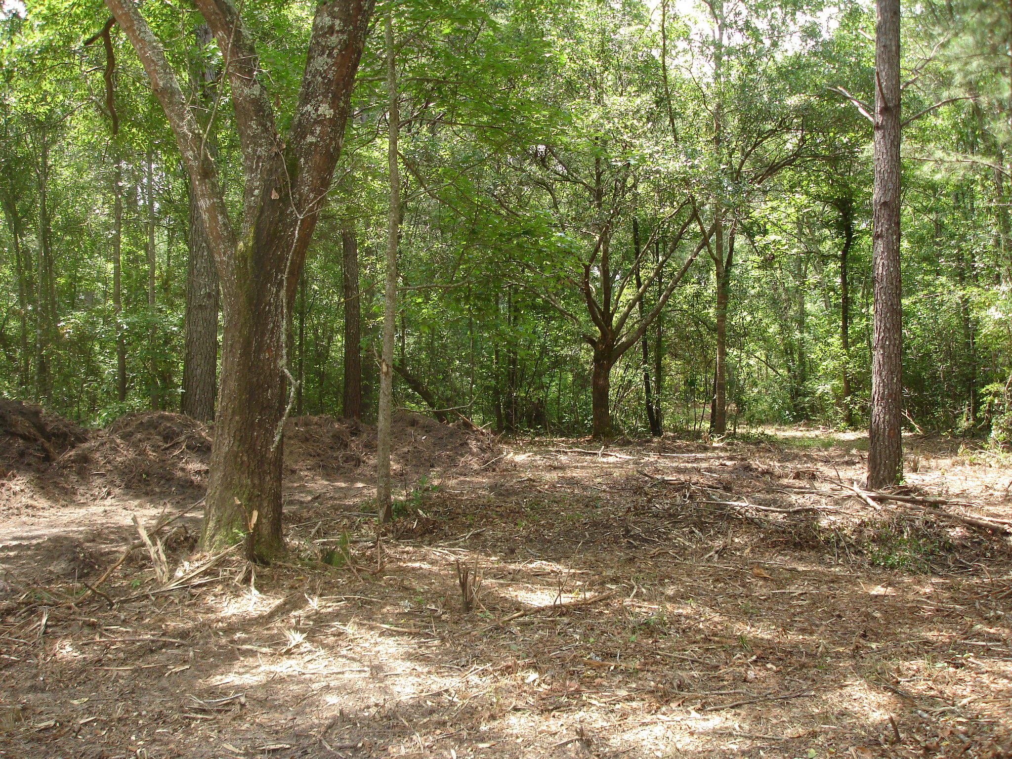 3 Klh Platt Road Ravenel, SC 29470 - Photo 1 of 8 Platt Sullins (7)