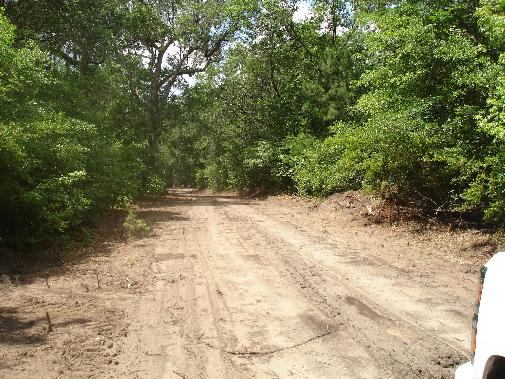 3 Klh Platt Road Ravenel, SC 29470 - Photo 2 of 8 Platt Sullins (4)