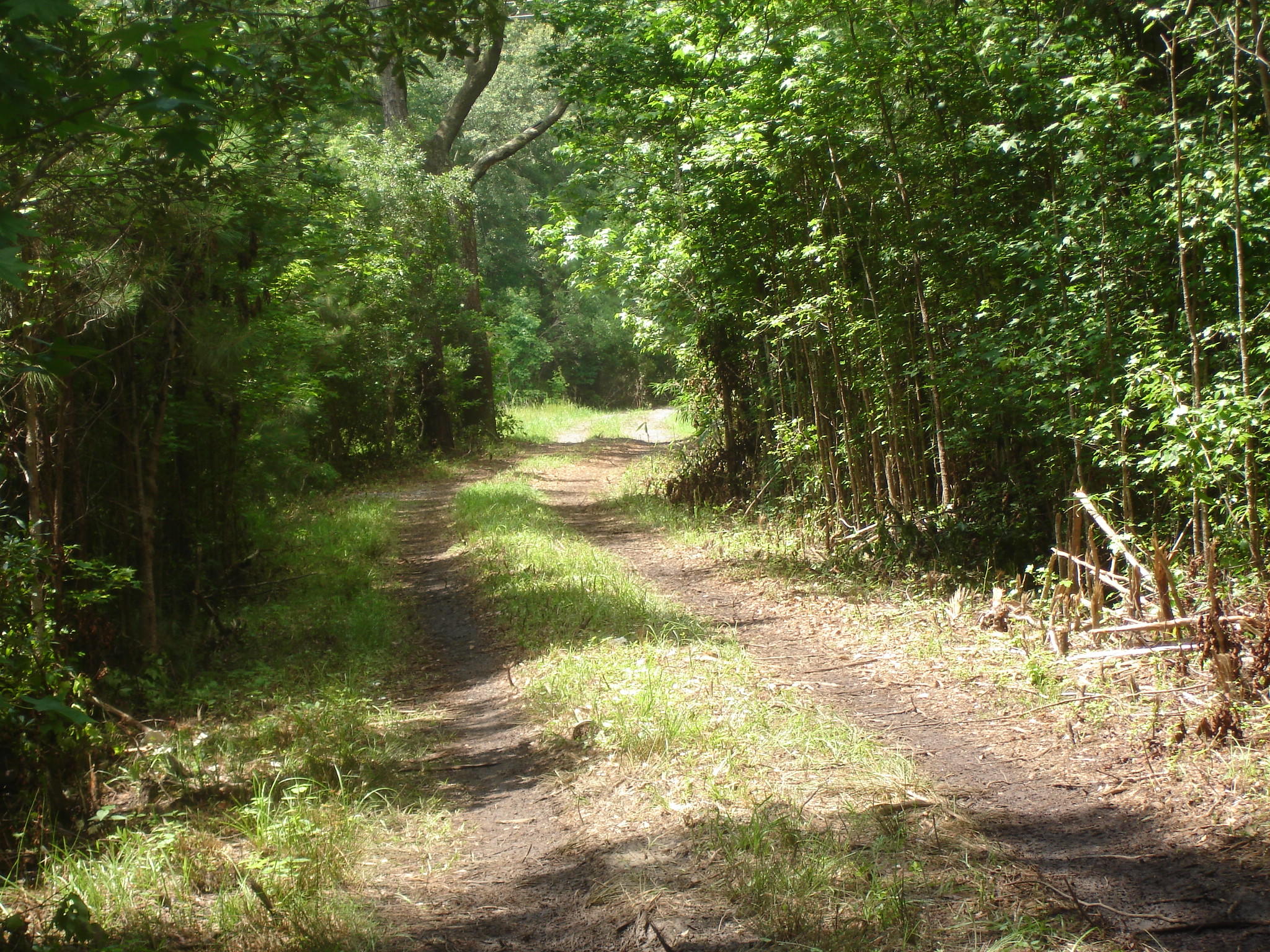 3 Klh Platt Road Ravenel, SC 29470 - Photo 4 of 8 Platt Sullins (3)