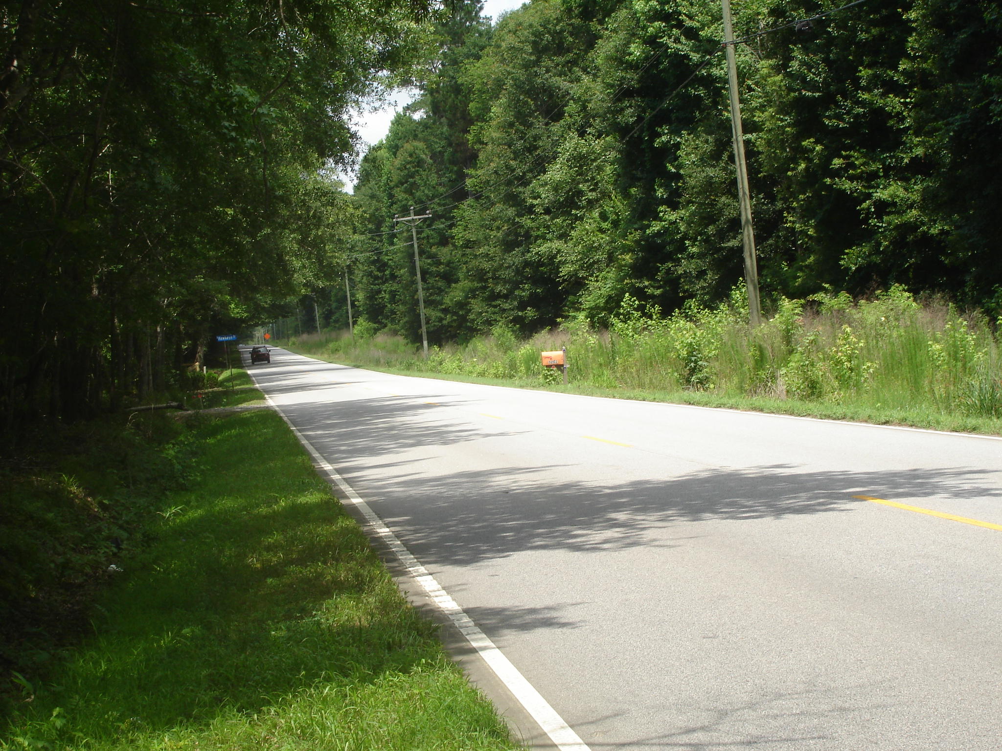 3 Klh Platt Road Ravenel, SC 29470 - Photo 5 of 8 Platt Sullins (2)