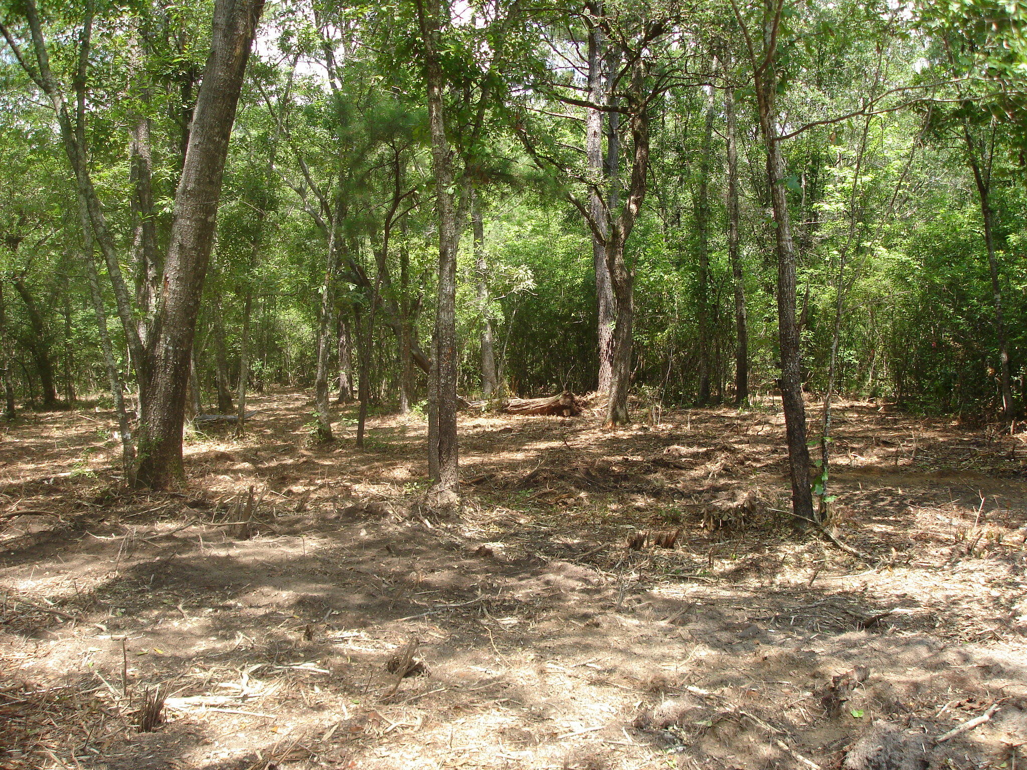 3 Klh Platt Road Ravenel, SC 29470 - Photo 6 of 8 Platt Sullins (6)