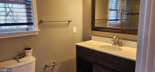 a bathroom with a sink and a toilet