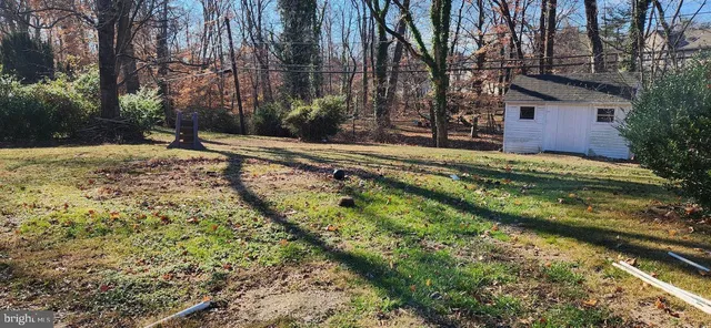 a view of a backyard with large trees