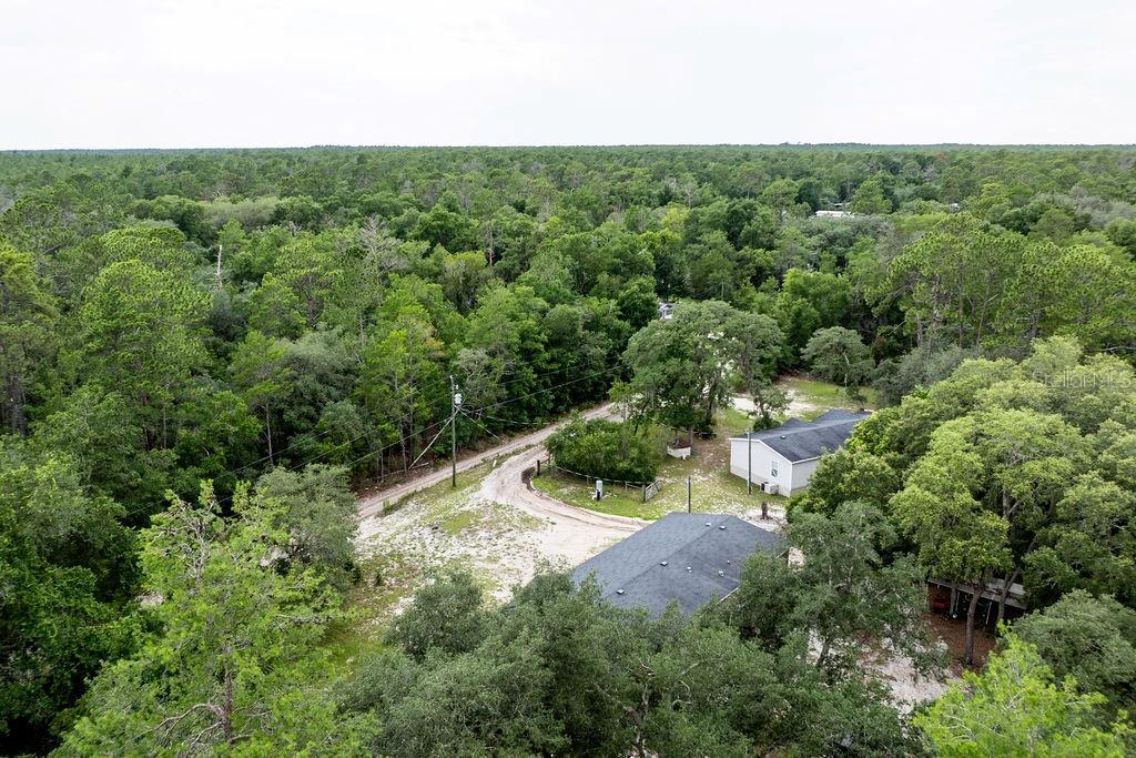 24821 Old Deer Road Paisley, FL 32767 - Photo 37 of 43