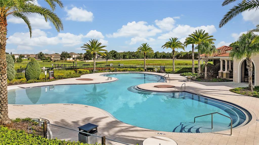 16669 Windmill Forge Pass Wimauma, FL 33598 - Photo 37 of 44 a view of swimming pool with outdoor seating and plants