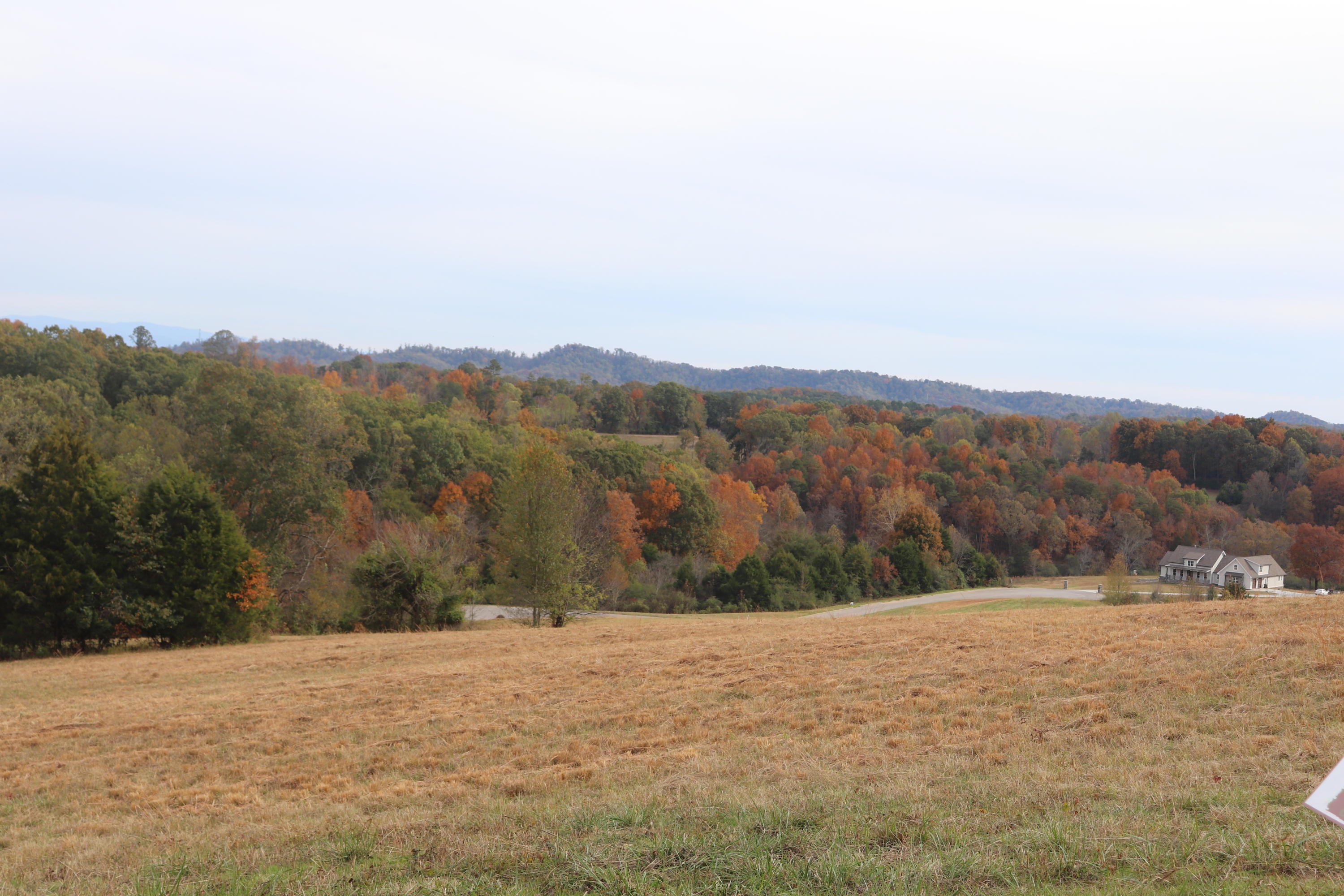 Lot 8 High Ridge Road Sweetwater, TN 37874 - Photo 2 of 4 IMG_0931