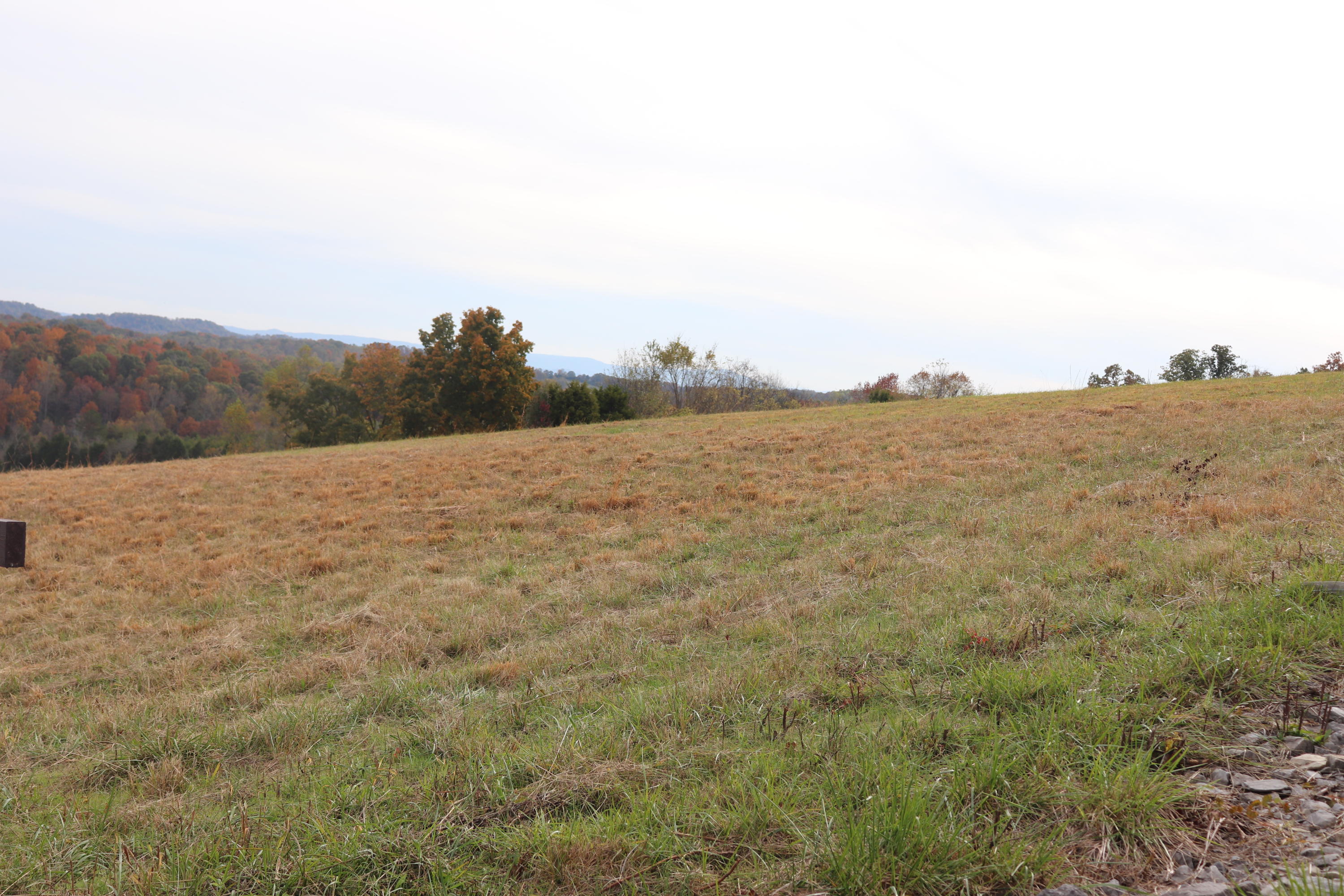 Lot 8 High Ridge Road Sweetwater, TN 37874 - Photo 3 of 4 IMG_0932