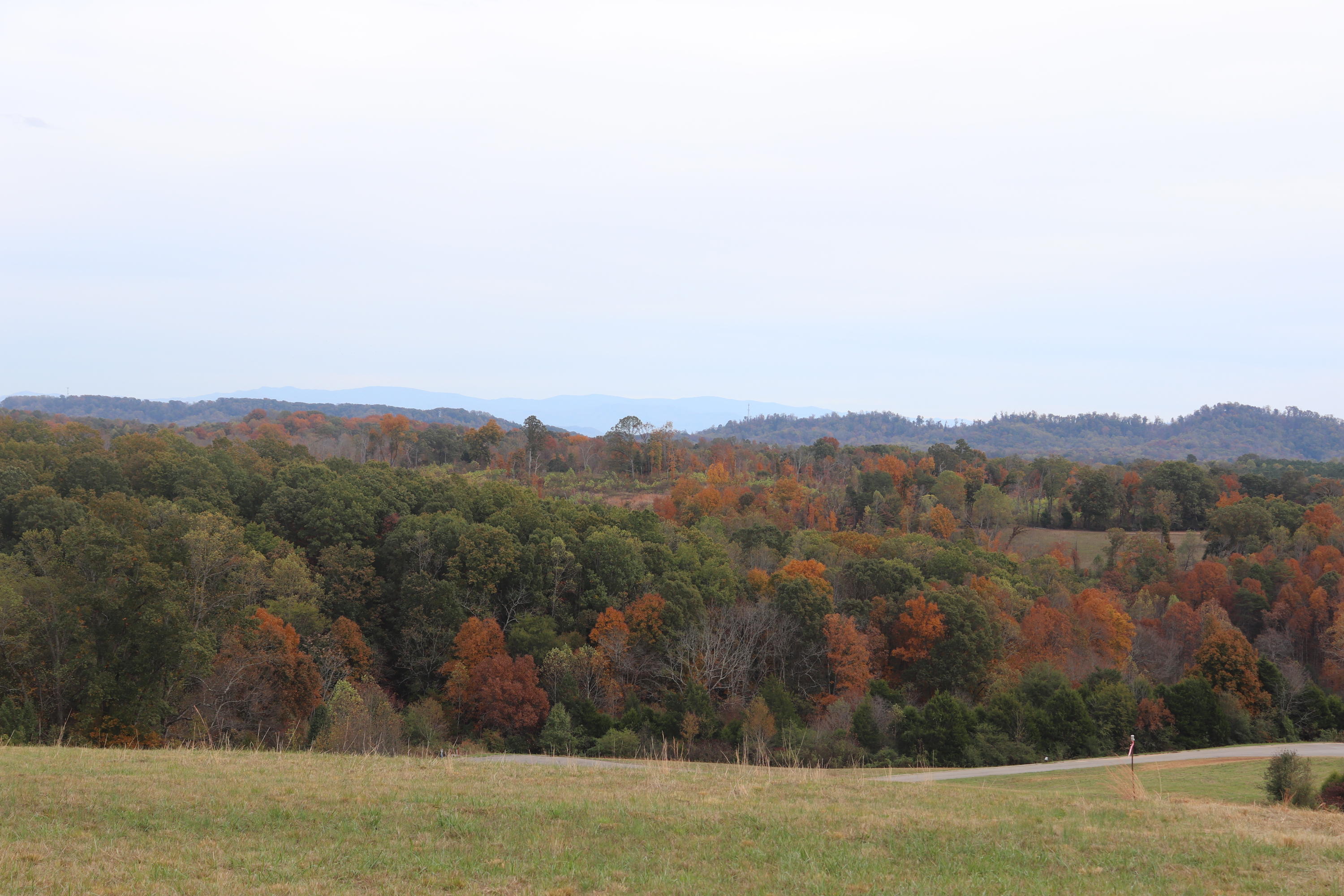 Lot 8 High Ridge Road Sweetwater, TN 37874 - Photo 4 of 4 IMG_0935
