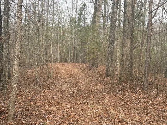 a view of room with trees
