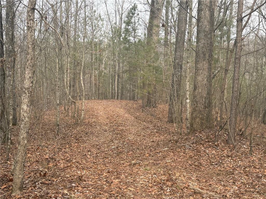 1 Swan Bridge Road Talking Rock, GA 30175 - Photo 2 of 2 a view of room with trees