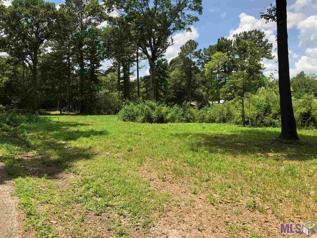 45061 Roux Road Prairieville, LA 70769 - Photo 1 of 5 Gallery Image 1