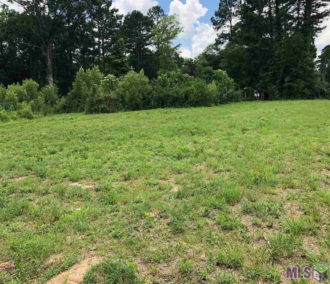 45061 Roux Road Prairieville, LA 70769 - Photo 3 of 5 Gallery Image 3