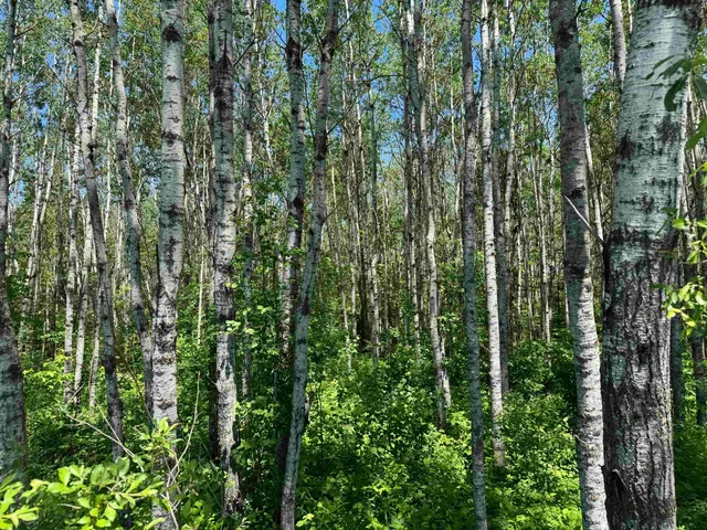 $89,900 | Tbd Irondale Road, Superior, WI 54880