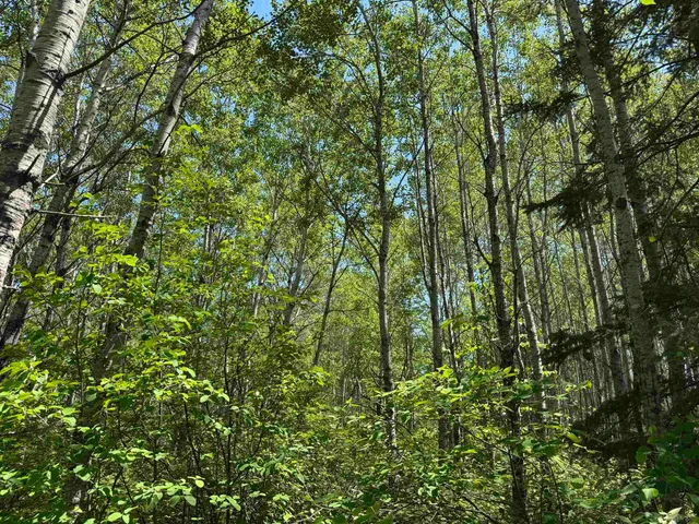 $89,900 | Tbd Irondale Road, Superior, WI 54880