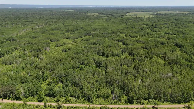 $89,900 | Tbd Irondale Road, Superior, WI 54880