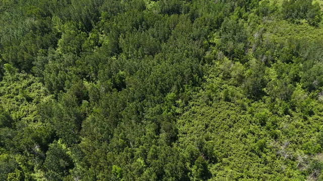 $89,900 | Tbd Irondale Road, Superior, WI 54880