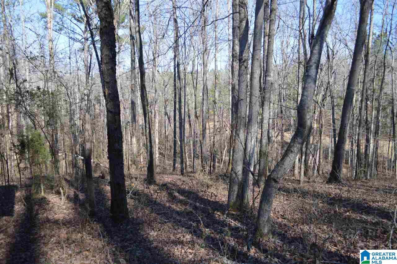 1900 Sanie Road Odenville, AL 35120 - Photo 33 of 48
