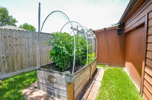 a view of a backyard with pathway