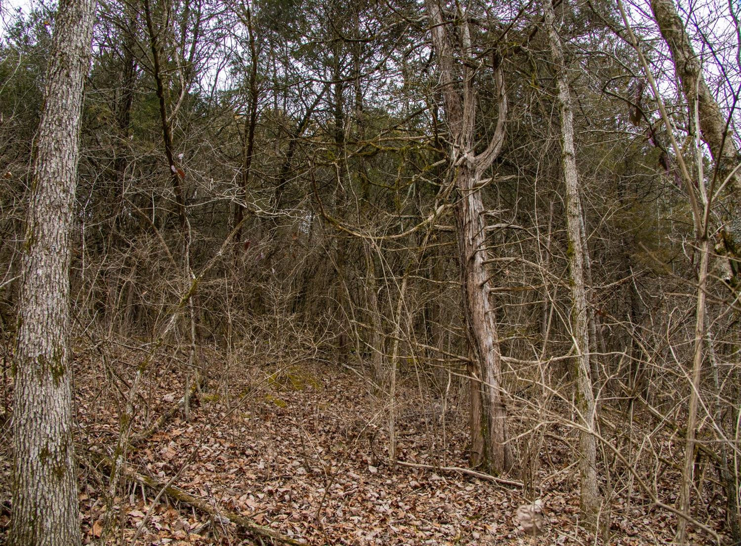 1298 River Road Nicholasville, KY 40356 - Photo 6 of 7 Photo 6