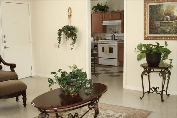 a living room with furniture and a potted plant