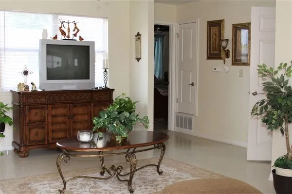 a living room with furniture and a potted plant