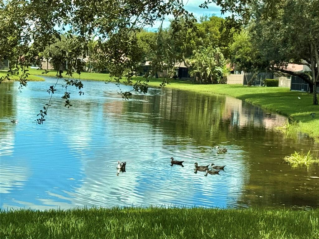 1654 Southwest 109th Terrace Davie, FL 33324 - Photo 21 of 24 a view of a lake view