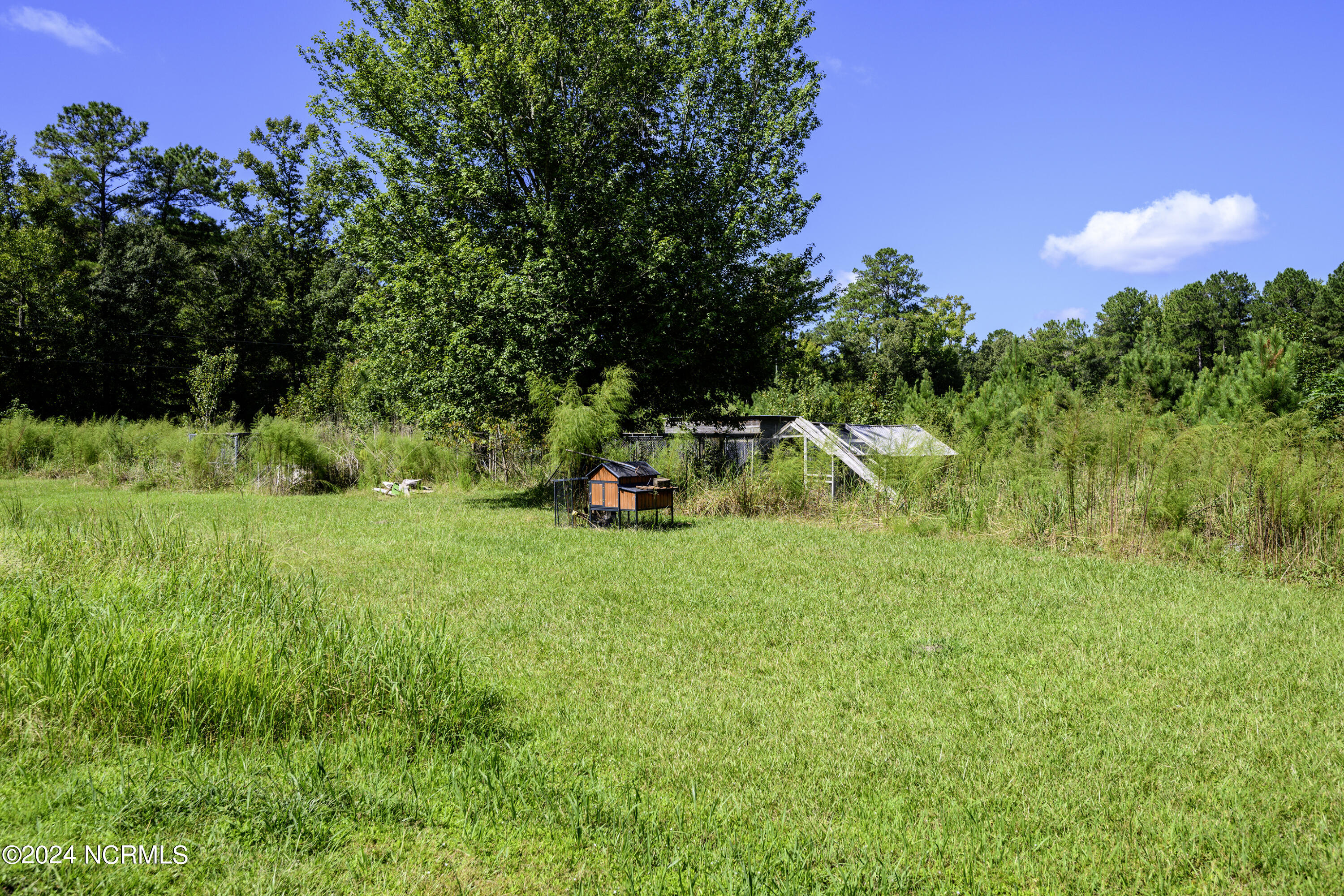 820 New Liberty Road New Bern, NC 28562 - Photo 42 of 73 Yard