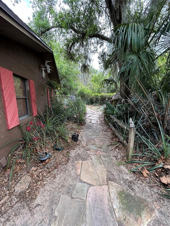10679 Goose Prairie Road Leesburg, FL 34788 - Photo 11 of 30 a backyard of a house with lots of green space