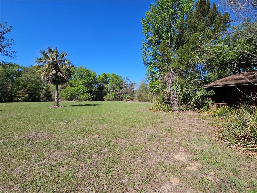 10679 Goose Prairie Road Leesburg, FL 34788 - Photo 24 of 30 a view of a yard with a tree