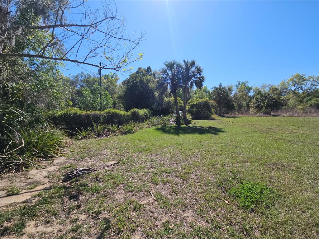10679 Goose Prairie Road Leesburg, FL 34788 - Photo 25 of 30 a backyard of a house with lots of green space