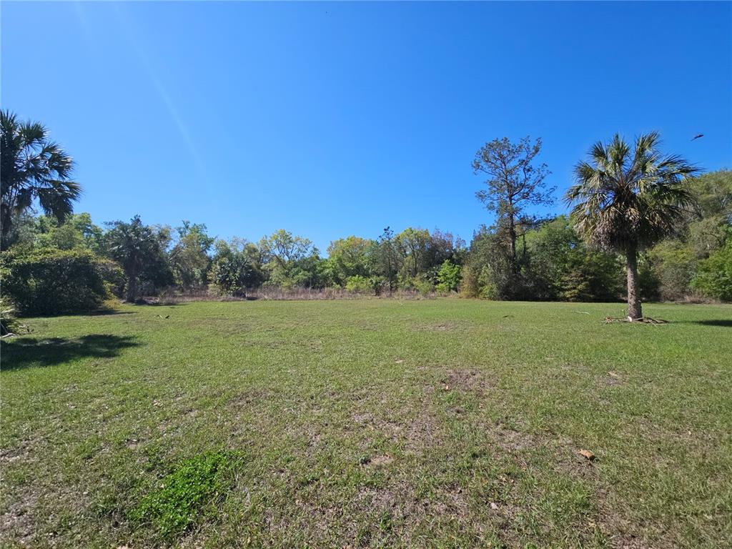 10679 Goose Prairie Road Leesburg, FL 34788 - Photo 26 of 30 a view of field with trees in the background