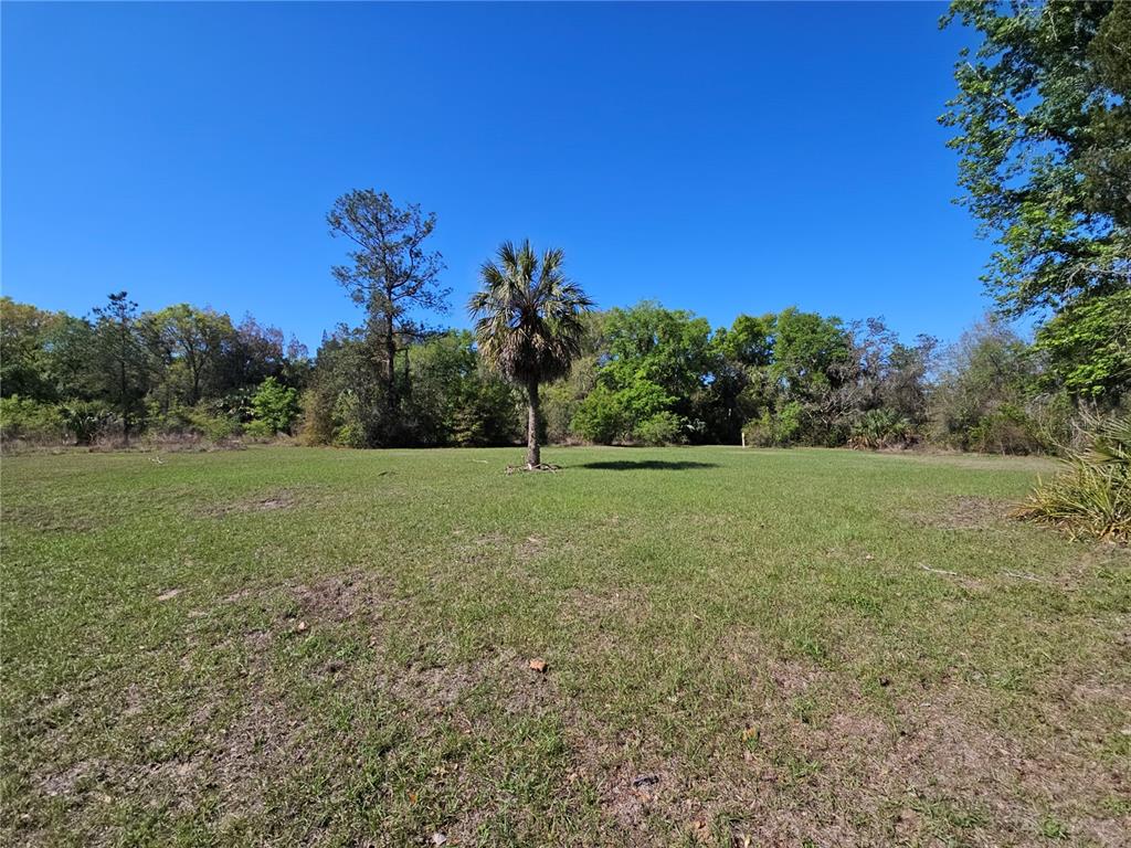 10679 Goose Prairie Road Leesburg, FL 34788 - Photo 27 of 30 a view of a green field with wooden fence