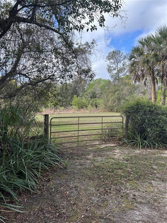 10679 Goose Prairie Road Leesburg, FL 34788 - Photo 28 of 30 a view of a yard with wooden fence