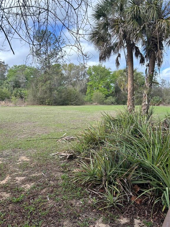 10679 Goose Prairie Road Leesburg, FL 34788 - Photo 29 of 30 a view of an outdoor space and a yard