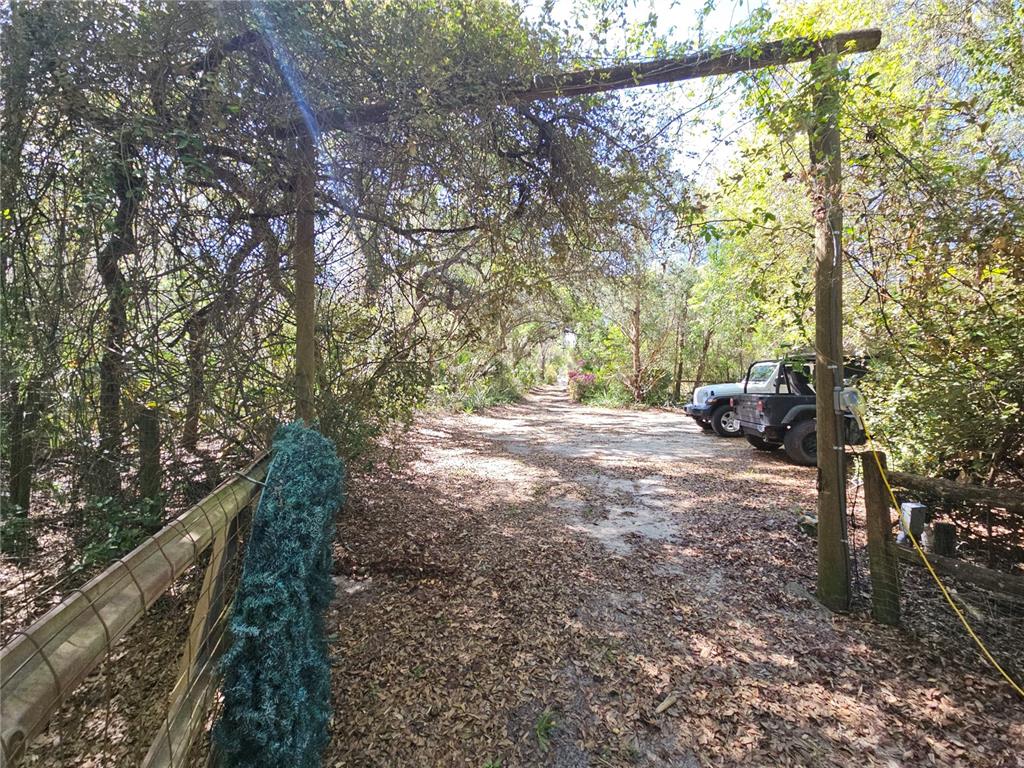 10679 Goose Prairie Road Leesburg, FL 34788 - Photo 3 of 30 a view of outdoor space and yard
