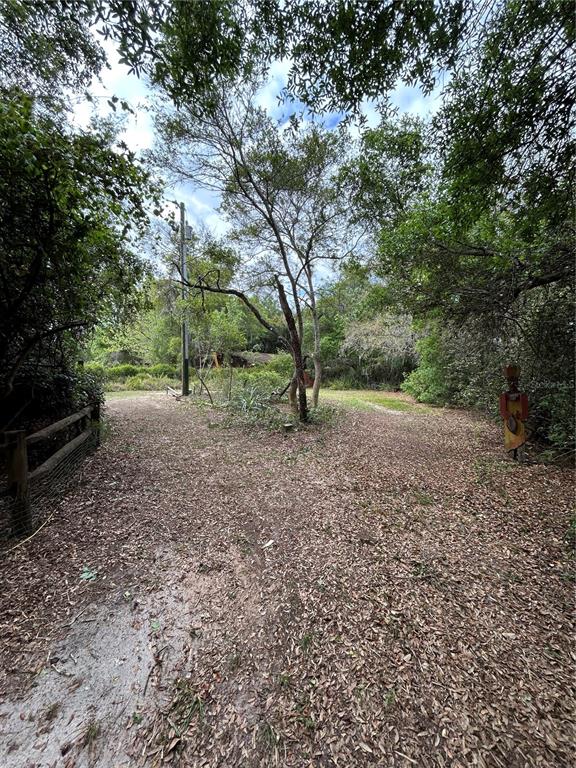 10679 Goose Prairie Road Leesburg, FL 34788 - Photo 4 of 30 a view of a yard with a tree