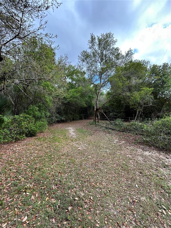 10679 Goose Prairie Road Leesburg, FL 34788 - Photo 5 of 30 a view of outdoor space with deck and yard
