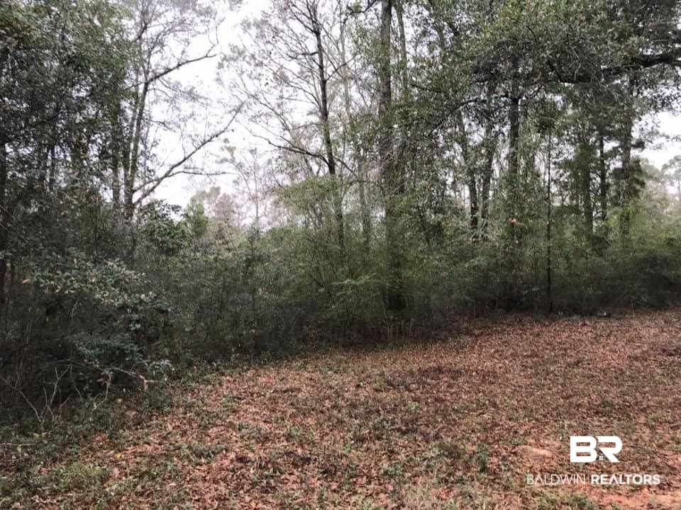 0 Hilliard Jenkins Road Loxley, AL 36551 - Photo 1 of 4