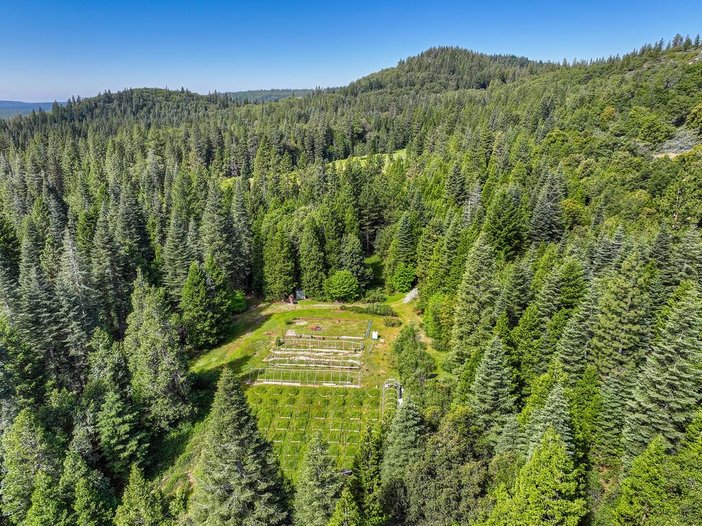 1535 Derbec Road Nevada City, CA 95959 - Photo 34 of 39