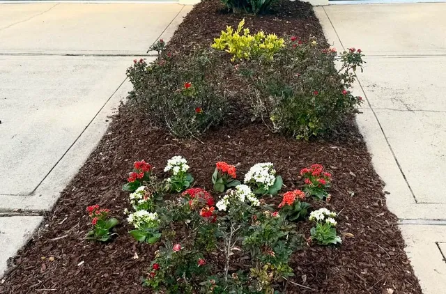 a picture of flowers