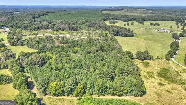 a view of a lush green field with lots of trees in it