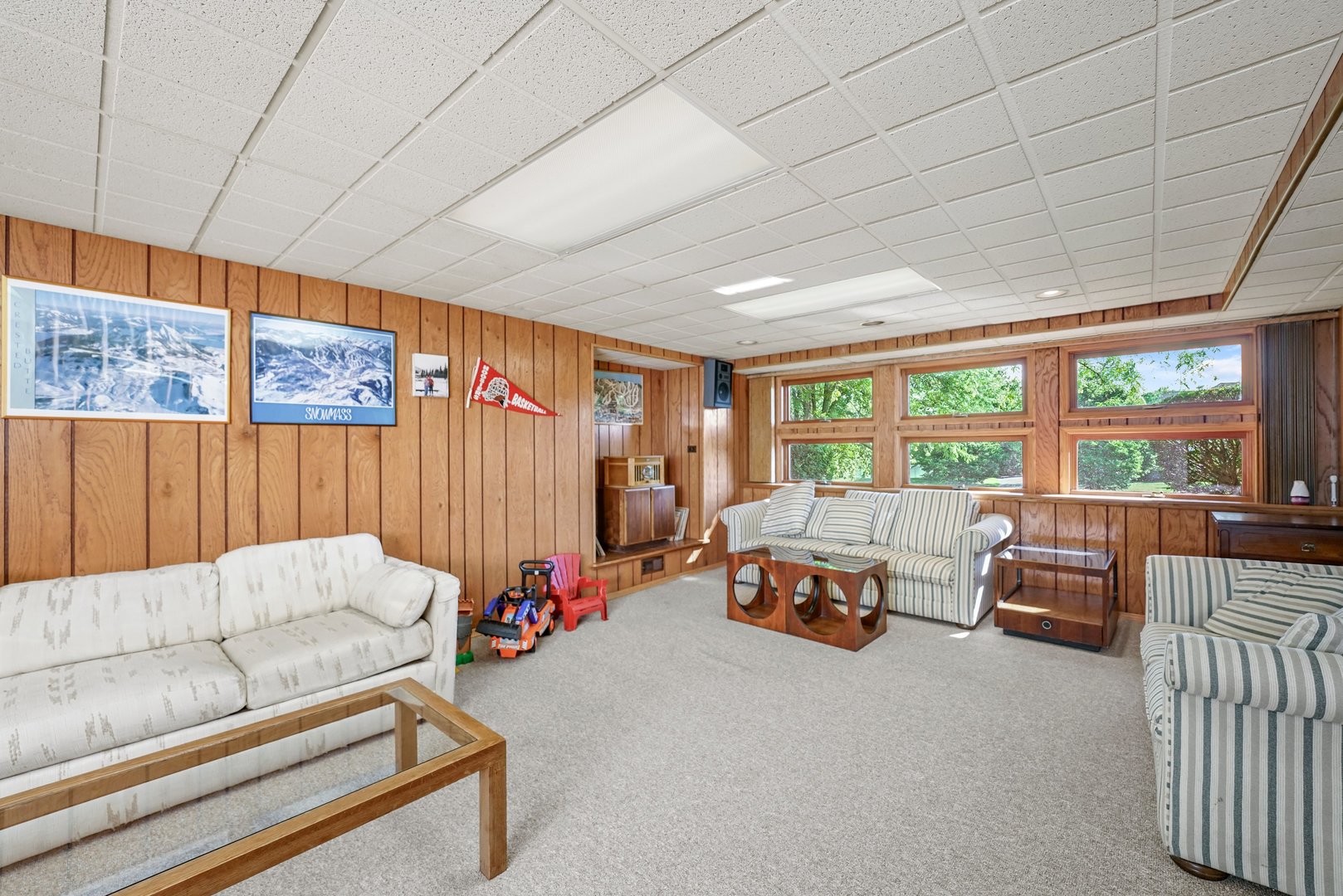 20320 Lea Road Deer Park, IL 60010 - Photo 21 of 31 a living room with furniture and a flat screen tv