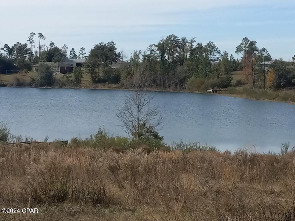 0 Tommy Tucker Road, Unit LOT 2 Altha, FL 32421 - Photo 22 of 26