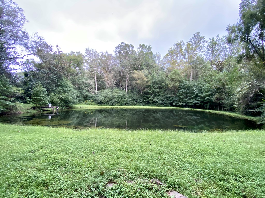 545 Clarence Deloney Road Ozark, AL 36360 - Photo 3 of 23