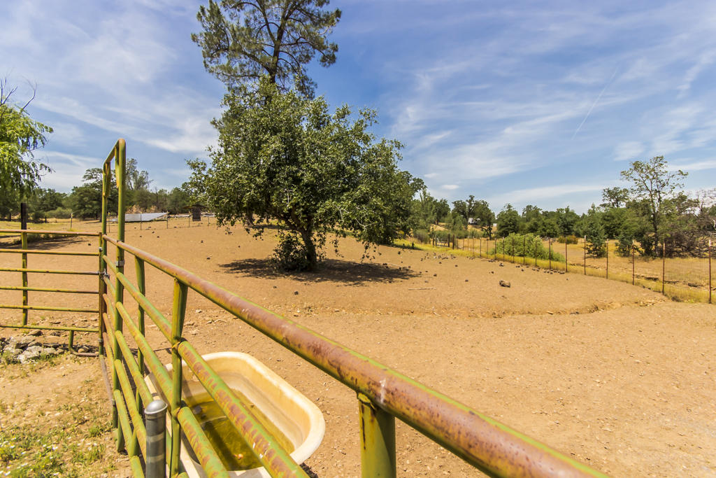 9865 Winegar Road Redding, CA 96003 - Photo 26 of 31 fenced horse area