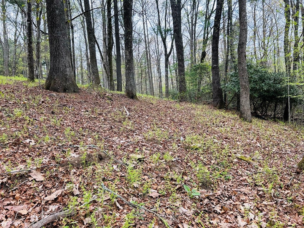 174 Round Hill Road, Unit 4 Fancy Gap, VA 24328 - Photo 7 of 18 Gallery Image 7