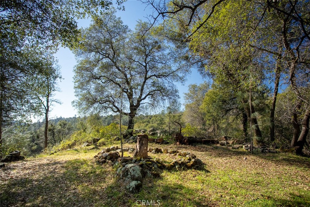 1718 Robinson Mill Road Bangor, CA 95914 - Photo 38 of 74 a view of a yard with trees
